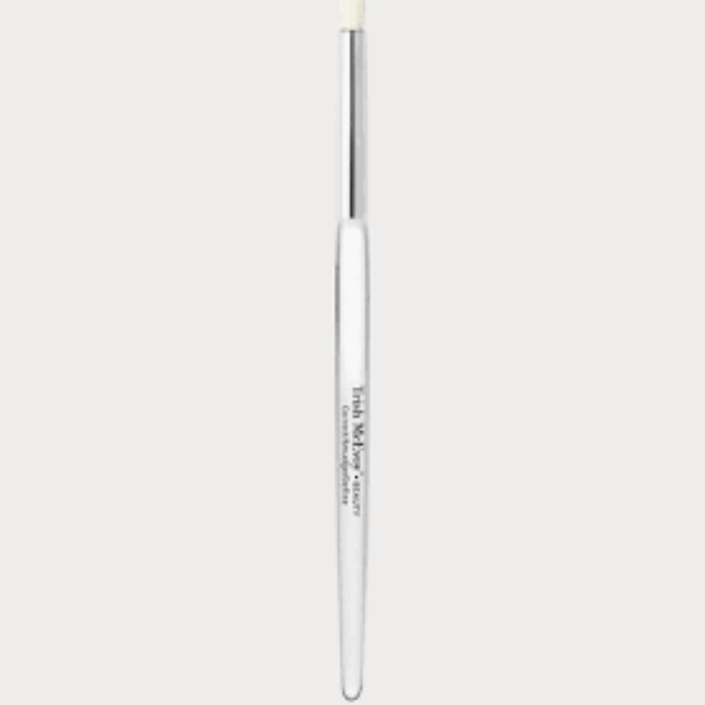 Trish McEvoy Brush Correct & Smudge BNWT